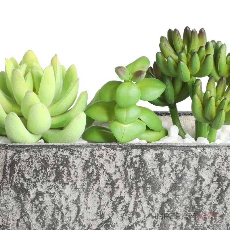 Искусственное растение в горшке Eglo CHITOSE 428009 от ImperiumLoft Искусственное растение в горшке Eglo CHITOSE 428009 от ImperiumLoft