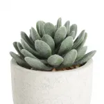 Искусственное растение в горшке Eglo CHITOSE 428011 от ImperiumLoft