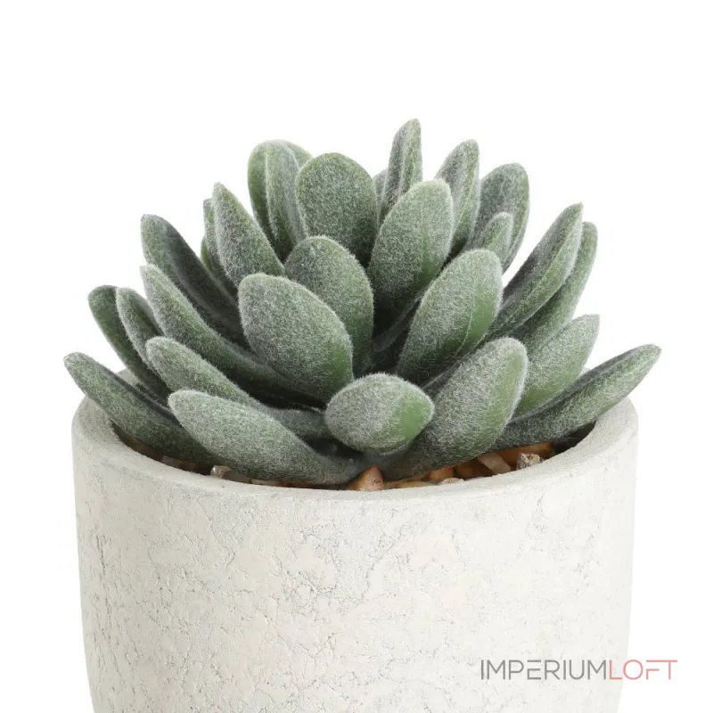 Искусственное растение в горшке Eglo CHITOSE 428011 от ImperiumLoft