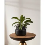 Кашпо Eglo PARKENT 428145 от ImperiumLoft