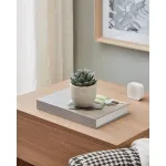 Искусственное растение в горшке Eglo CHITOSE 428011 от ImperiumLoft