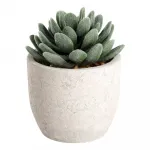 Искусственное растение в горшке Eglo CHITOSE 428011 от ImperiumLoft