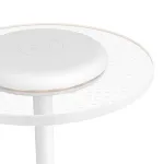 Аккумуляторная настольная лампа Eglo Trepella 75885 от ImperiumLoft