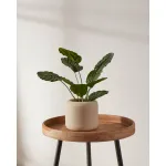 Кашпо Eglo PARKENT 428146 от ImperiumLoft