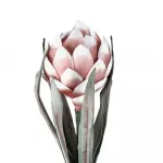 Искусственное растение Eglo MOLAVE 428126 от ImperiumLoft