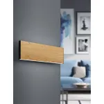 Бра Eglo ПРОМО Climene 390127 от ImperiumLoft