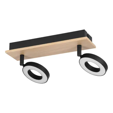 Спот Eglo Rielves 901203