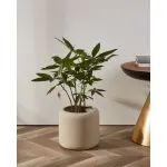 Кашпо Eglo PARKENT 428147 от ImperiumLoft