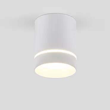 Светильник потолочный светодиодный Elektrostandard topper a063932