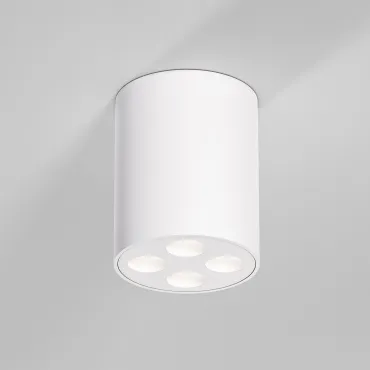 Светильник потолочный светодиодный Elektrostandard points a067483