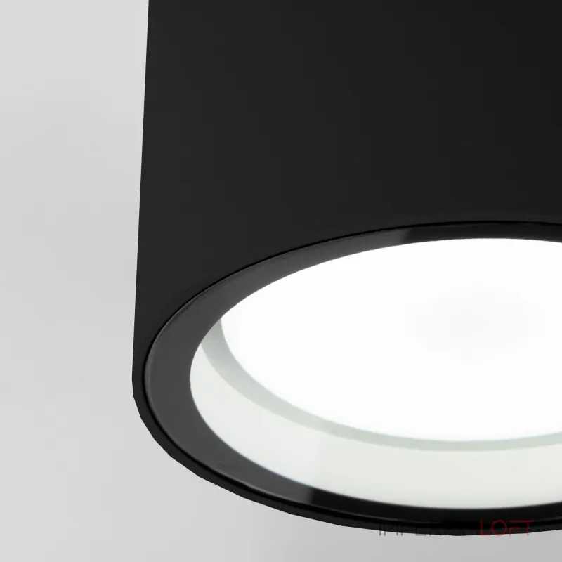 Накладной влагозащищенный светильник Elektrostandard light a057868 от ImperiumLoft