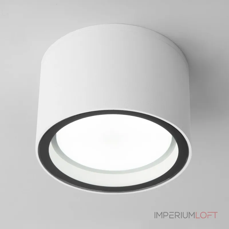 Накладной влагозащищенный светильник Elektrostandard light a057867 от ImperiumLoft