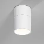 Светильник потолочный поворотный светодиодный Elektrostandard rolly a067487 от ImperiumLoft