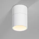 Светильник потолочный поворотный светодиодный Elektrostandard rolly a067486 от ImperiumLoft