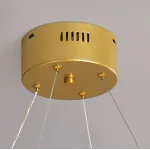 Подвесная люстра RENWER D120