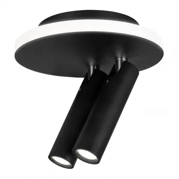 Спот Escada 20019 20019SMA/02LED SBK