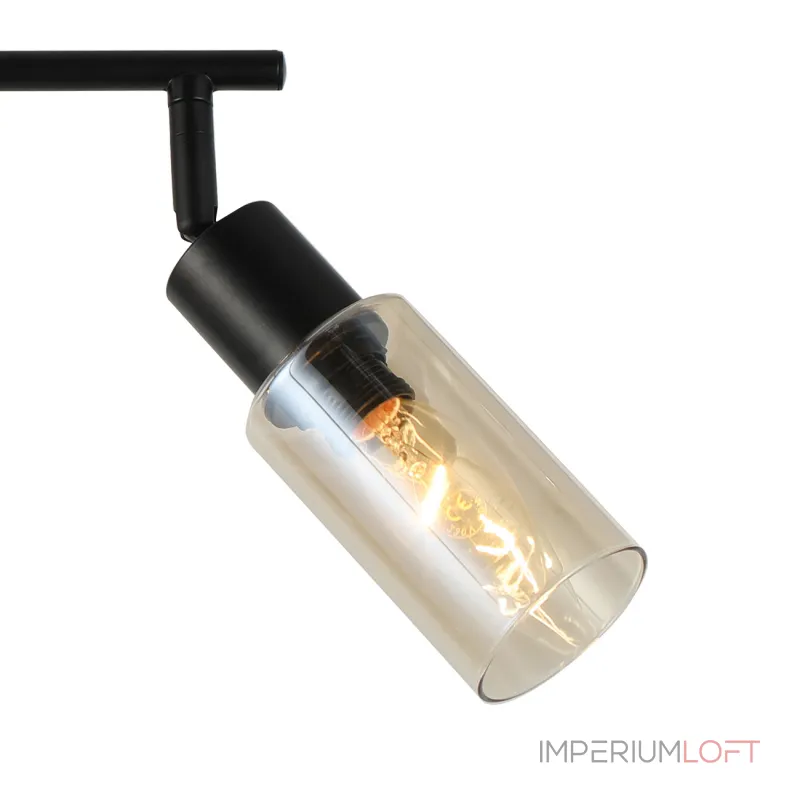 Настенно-потолочный светильник (спот) Escada SECTOR 10172/2A Amber от ImperiumLoft