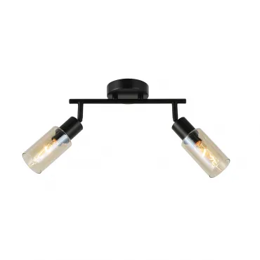 Настенно-потолочный светильник (спот) Escada SECTOR 10172/2A Amber