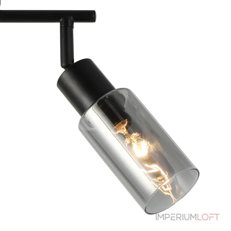 Настенно-потолочный светильник (спот) Escada SECTOR 10172/2A Chrome от ImperiumLoft