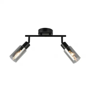 Настенно-потолочный светильник (спот) Escada SECTOR 10172/2A Chrome