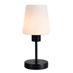 Настольная лампа Escada CLARITY ES0002707 от ImperiumLoft