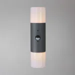 Escada 534/2A E27*60W Dark grey от ImperiumLoft