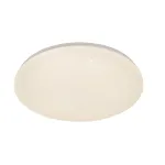 Потолочный светильник Escada GALATEA 10213/SG LED от ImperiumLoft