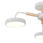 Потолочная люстра Escada KAORI 10270/3LED от ImperiumLoft