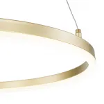 Подвесная люстра Escada 10254/1 LED*43W Gold APP