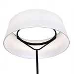 Напольный светильник Escada VERVE ES0002801L от ImperiumLoft