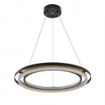 Подвесной светильник Escada LAGOM 10248/2LED от ImperiumLoft