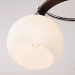 Потолочная люстра Eurosvet Larion 9654/5  