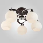 Потолочная люстра Eurosvet Larion 9654/5  