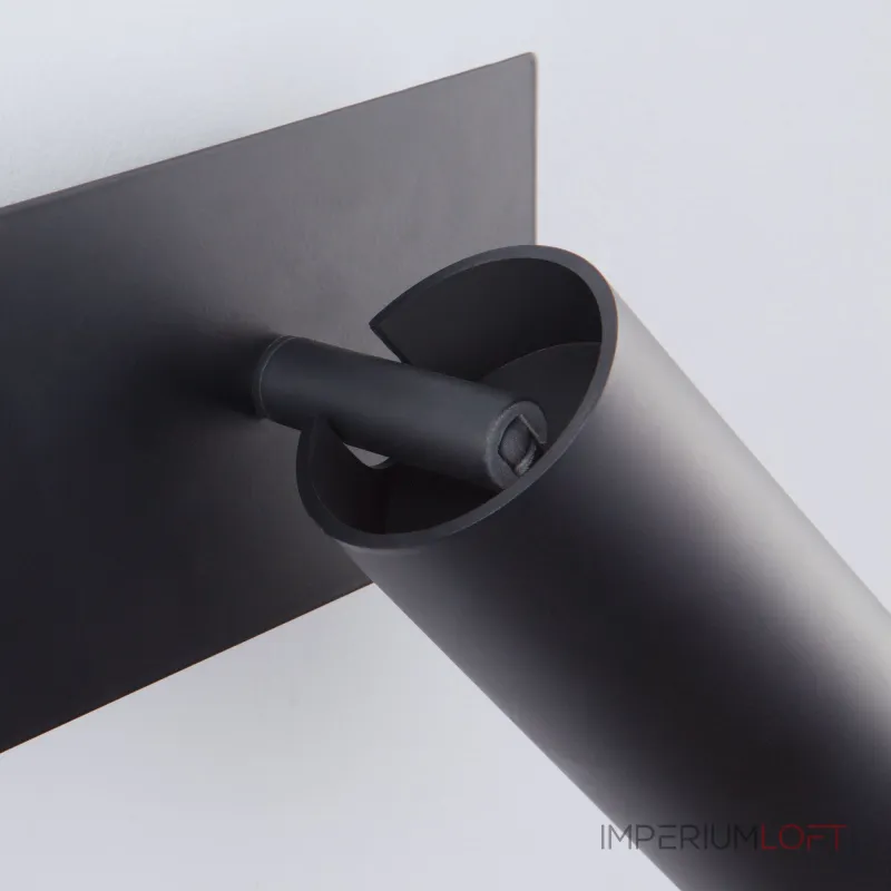 Настенный светильник Eurosvet Fleur 20066/2 LED от ImperiumLoft