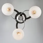 Потолочная люстра Eurosvet Larion 9654/3