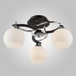 Потолочная люстра Eurosvet Larion 9654/3