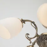 Потолочная люстра Eurosvet Ariele 22010/5 