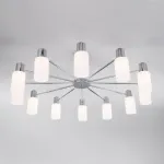 Потолочная люстра Eurosvet Vegga 70160/12  