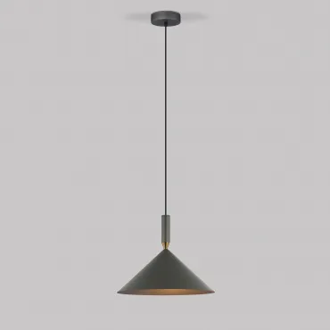 Подвесной светильник Eurosvet Nippon 50024/1