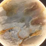 Настенный светильник Favourite Lago 4596-1W от ImperiumLoft