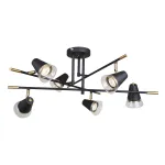 Потолочная люстра F-promo Trandy 4618-6C