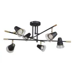 Потолочная люстра F-promo Trandy 4618-6C