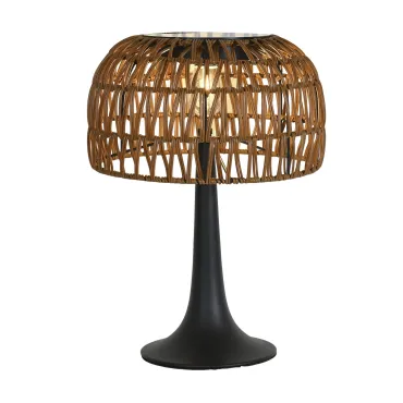 Настольная лампа Favourite Assolato 4833-1T