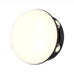 Уличный настенный светильник Favourite Option 4853-1W от ImperiumLoft