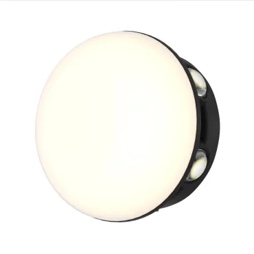 Уличный настенный светильник Favourite Option 4853-1W