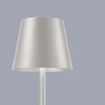 Настольный светильник F-promo Pyari 4617-1T от ImperiumLoft