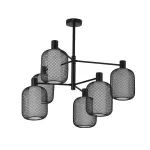 Люстра на штанге F-promo Tokri 4602-6C