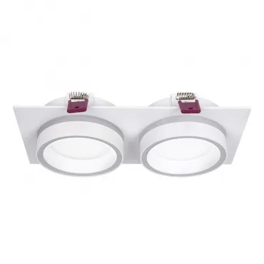 Встраиваемый потолочный светильник Favourite Vasto 4650-2C