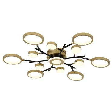Потолочная люстра F-Promo Hybrid 4686-13C Потолочная люстра F-Promo Hybrid 4686-13C