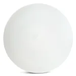 Накладной светильник Feron AL1600 48885 от ImperiumLoft